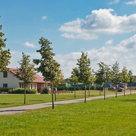 Ferienwohnung Hof Maiweg Alt Schonau エクステリア 写真