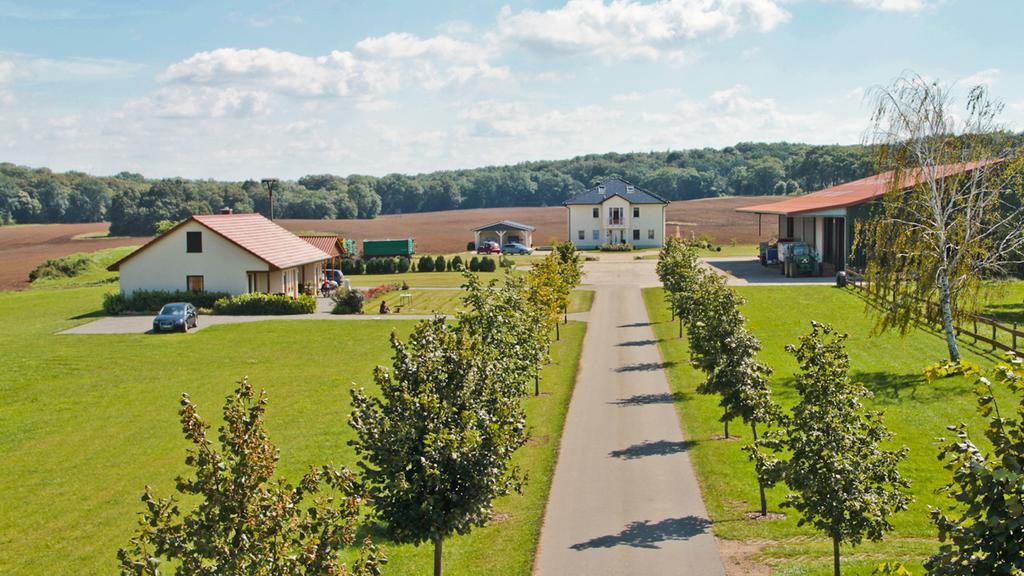 Ferienwohnung Hof Maiweg Alt Schonau エクステリア 写真